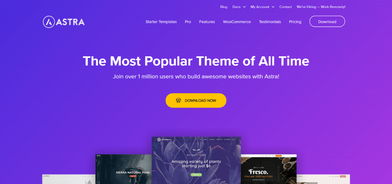 Astra Best WordPress Themes 2020
